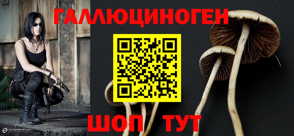 Псилоцибиновые грибы мицелий Владивосток