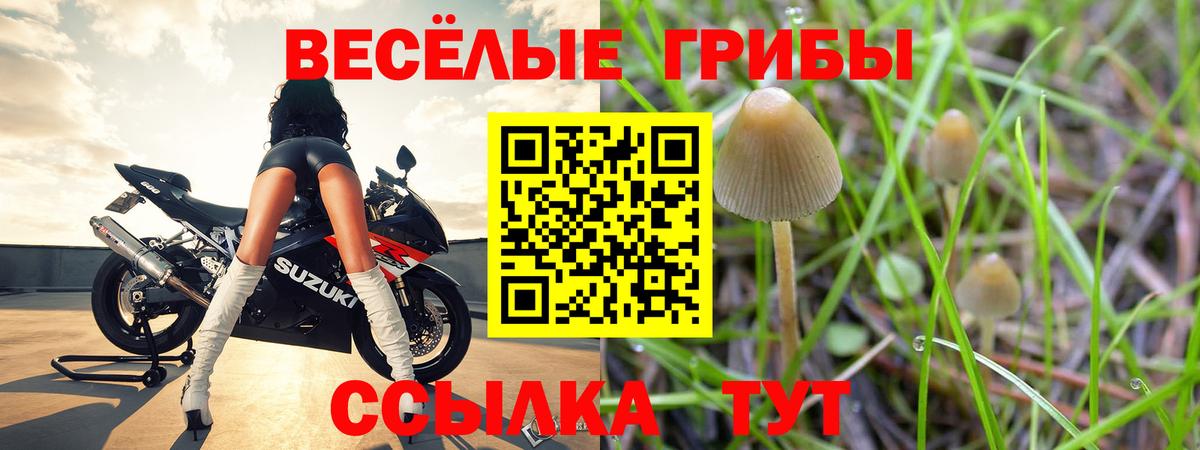 Галлюциногенные грибы MAGIC MUSHROOMS  Псилоцибиновые грибы мицелий  даркнет сайт  Вход с VPN  Владивосток 